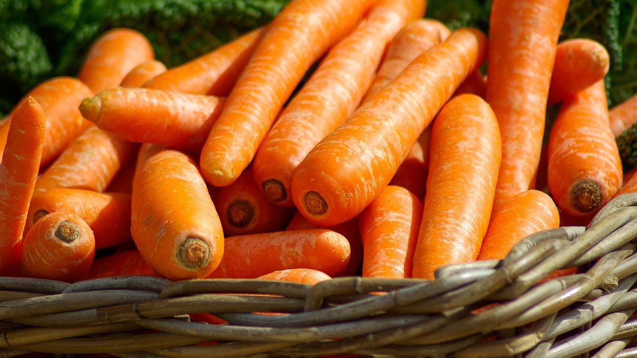 Las zanahorias son de las hortalizas más consumidas en todo el mundo