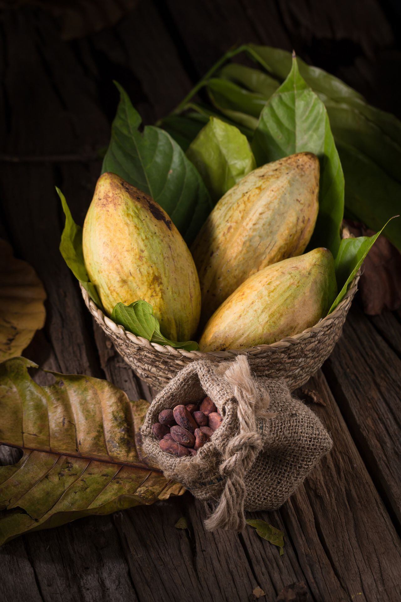 El cacao es rico en micronutrientes como polifenoles y potentes flavonoides antioxidantes, que ayudan a reducir la inflamación, bajar la presión arterial y mejorar el colesterol y el azúcar en sangre.