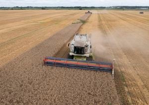 ARCHIVO - Varias cosechadoras recogen trigo en la localidad de Zghurivka, Ucrania, el 9 de agosto de 2022. Hay una creciente preocupación de que Rusia no amplíe el acuerdo mediado por Naciones Unidas que permite que el grano de Ucrania siga llegando a zonas del mundo que sufren hambre. Foto: AP