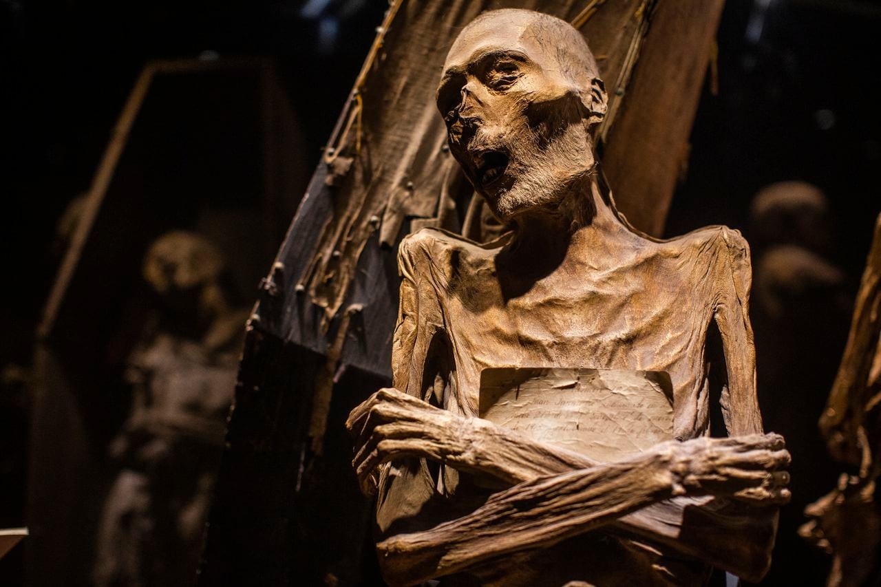 Las momias de Guanajuato están distribuidas en tres museos en este municipio conocido internacionalmente por sus espectaculares callejones y kilómetros de túneles, rastros de un pasado minero.