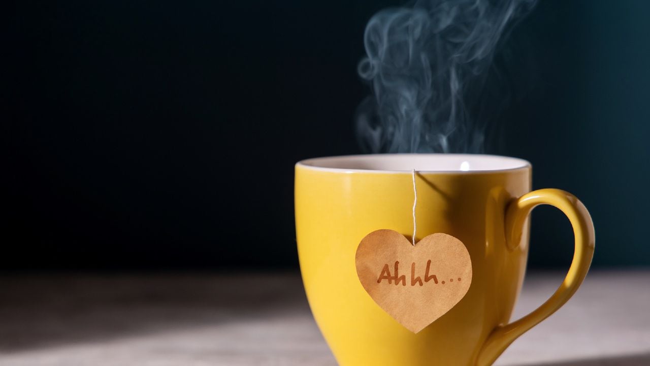 Tomar una taza de té al día favorece la salud del corazón
