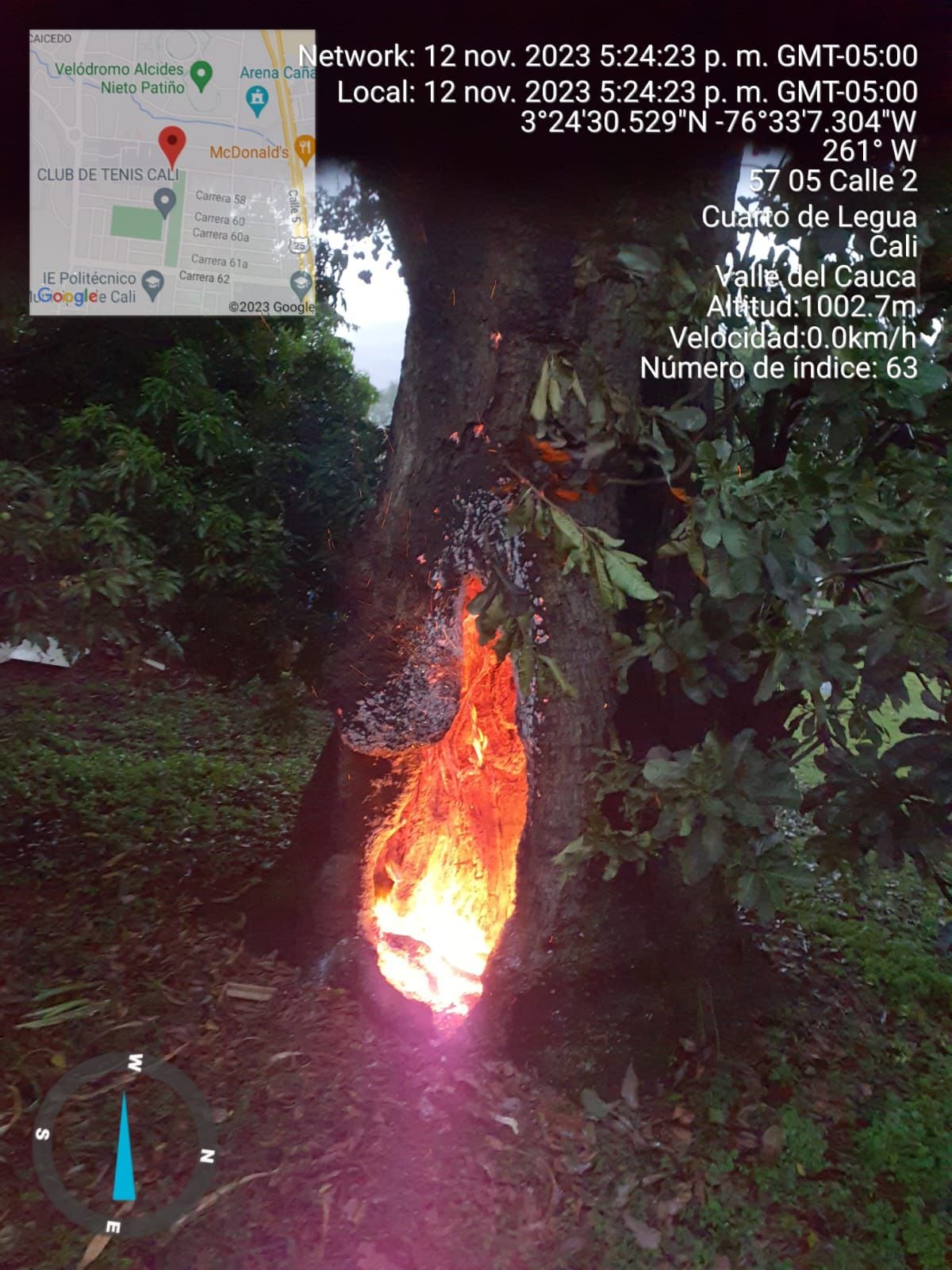 Un rayo impactó sobre el árbol, lo que provocó un incendio que fue controlado.