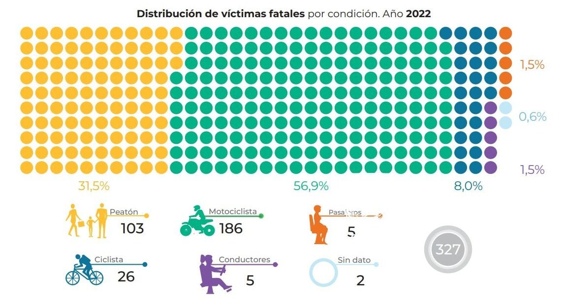 Distribución de víctimas fatales por condición. Año 2022