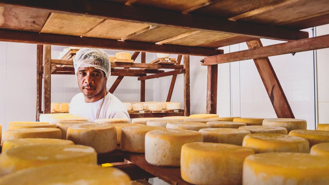 En el escenario mundial del queso, este país latinoamericano se alza como un líder indiscutible, superando expectativas y estableciendo estándares elevados en cuanto a consumo y producción de este apreciado alimento.