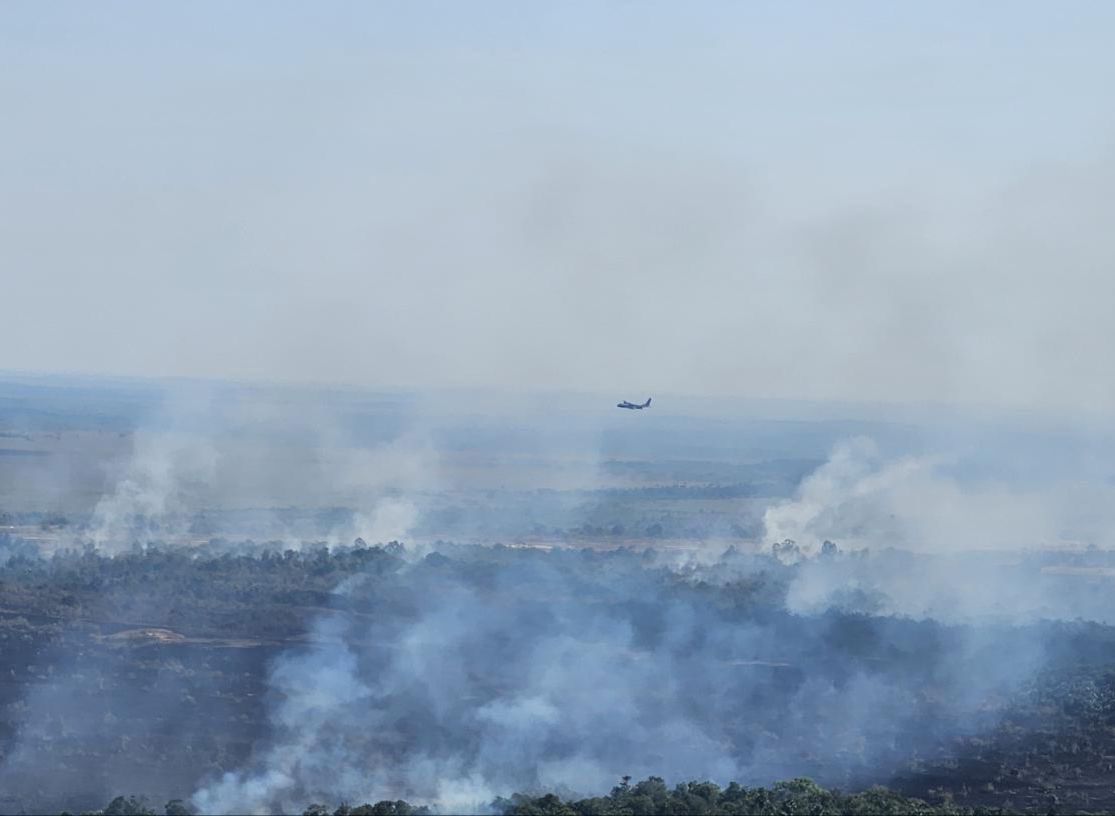 Incendio forestal en Marandúa, Vichada ha acabado con más de  7.000 hectáreas de vegetación