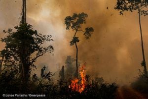 Según el Instituto de Pesquisa Ambiental de la Amazonía, el aumento de los incendios "tiene relación con la deforestación y no con una sequía más fuerte como podría suponerse".