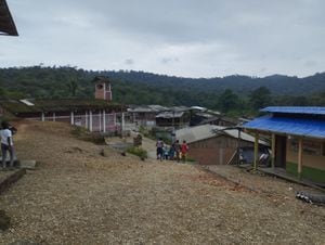 La acción de grupos armados ilegales en la zona rural de Buenaventura, Valle del Cauca, ha generado el desplazamiento y confinamiento de varias comunidades, lo que no ha permitido la movilización de sus habitantes para realizar sus actividades.