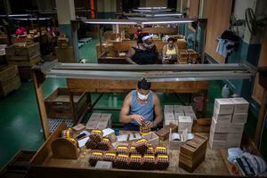 Trabajadores con mascarillas protectoras empaquetan puros en la fábrica de Partagás en La Habana, Cuba, el jueves 11 de marzo de 2021, en medio de la nueva pandemia de coronavirus. A pesar del impacto del COVID-19 en la economía cubana, los famosos puros continúan su marcha en el mercado global. Foto: AP / Ramon Espinosa.