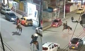 A través de varios videos de ciudadanos se observan como los jinetes ponen en riesgo a los caballos al transitar por una calle con vehículos en movimiento.

Foto: Imágenes suministradas al concejal Terry Hurtado por ciudadanos.