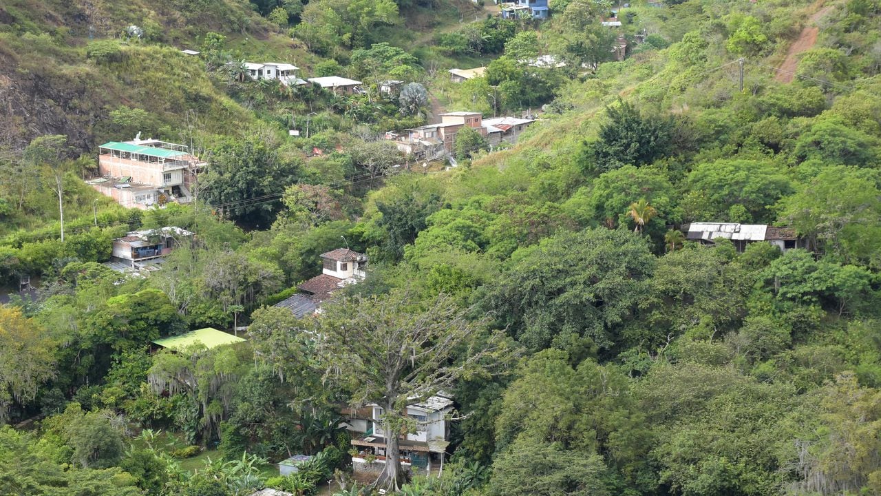 En Pilas del Cabuyal hay una invasión que tiene más de 20 techos y está sobre un área de reserva forestal nacional.
