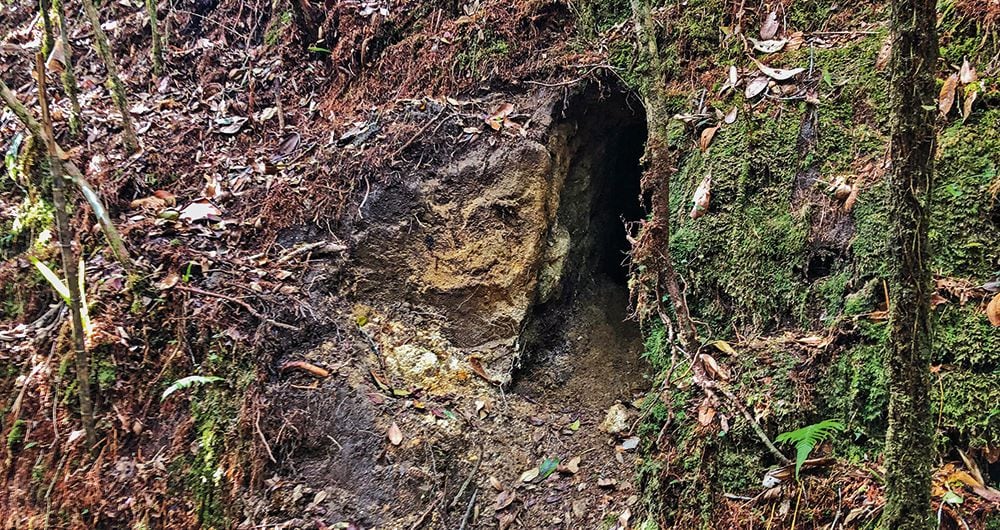     Así se ve la fachada de la cueva del horror en las montañas de Antioquia. En su interior, la infraestructura todavía está intacta y es custodiada por centenares de murciélagos que han hecho de esa su casa. 