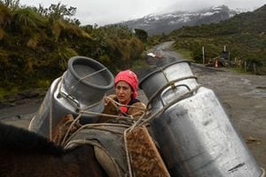 La mayoría de los campesinos a los pies del volcán Nevado del Ruiz permanecen anclados a sus cultivos y animales, pese al llamado urgente de evacuar la zona.