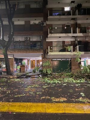Árboles caídos por la tormenta en Argentina