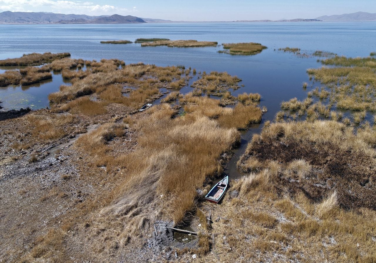 El nivel del agua del lago Titicaca , a 3.807 metros sobre el nivel del mar, se ubica hoy 25 centímetros por encima del mínimo histórico registrado en 1996, dijo a la AFP Lucia Walper, jefa de la Unidad de Pronósticos del Servicio Nacional de Hidrología y Meteorología (Senhami) de Bolivia, el 10 de agosto de 2023. (Foto por Aizar RALDES / AFP)