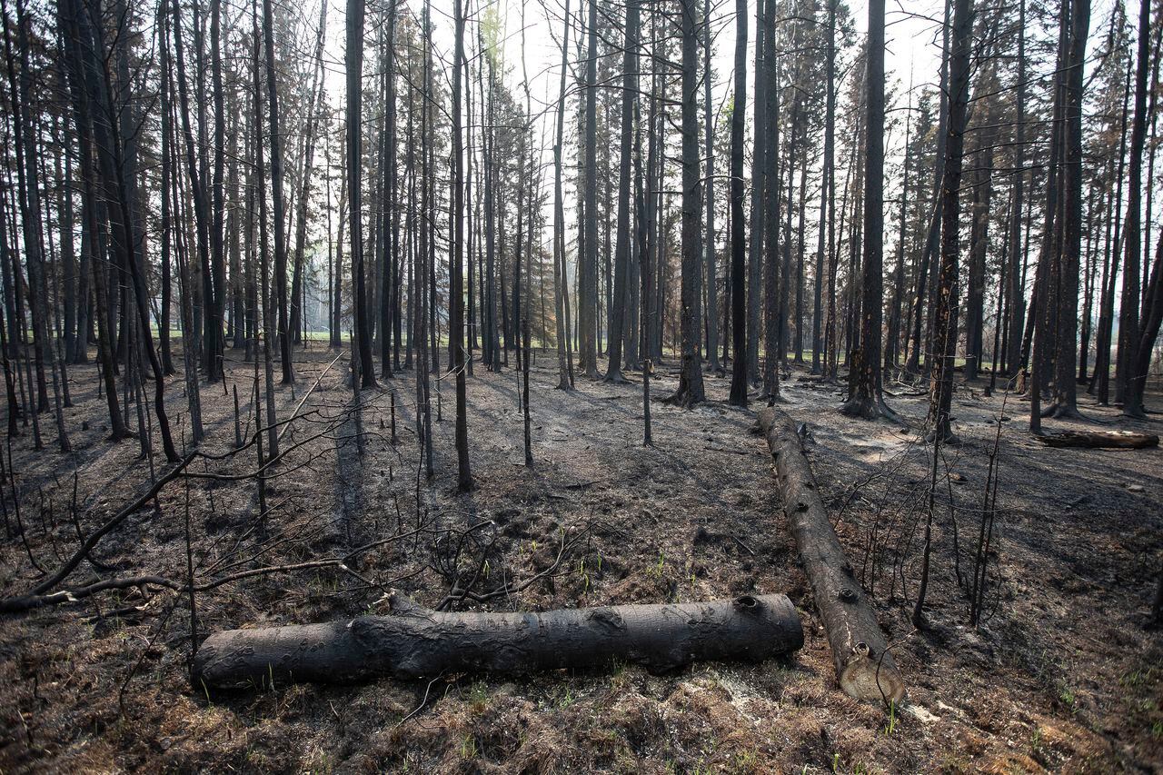 Autoridades dicen estar preocupadas porque la temporada seca aún no ha llegado y la situación de incendios forestales puede empeorar.
