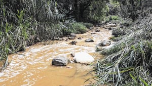 El río Aguacatal está altamente contaminado por las aguas de la quebrada El Chocho, que reciben las filtraciones de las minas de carbón y las aguas residuales. Dagma anuncia inversiones.