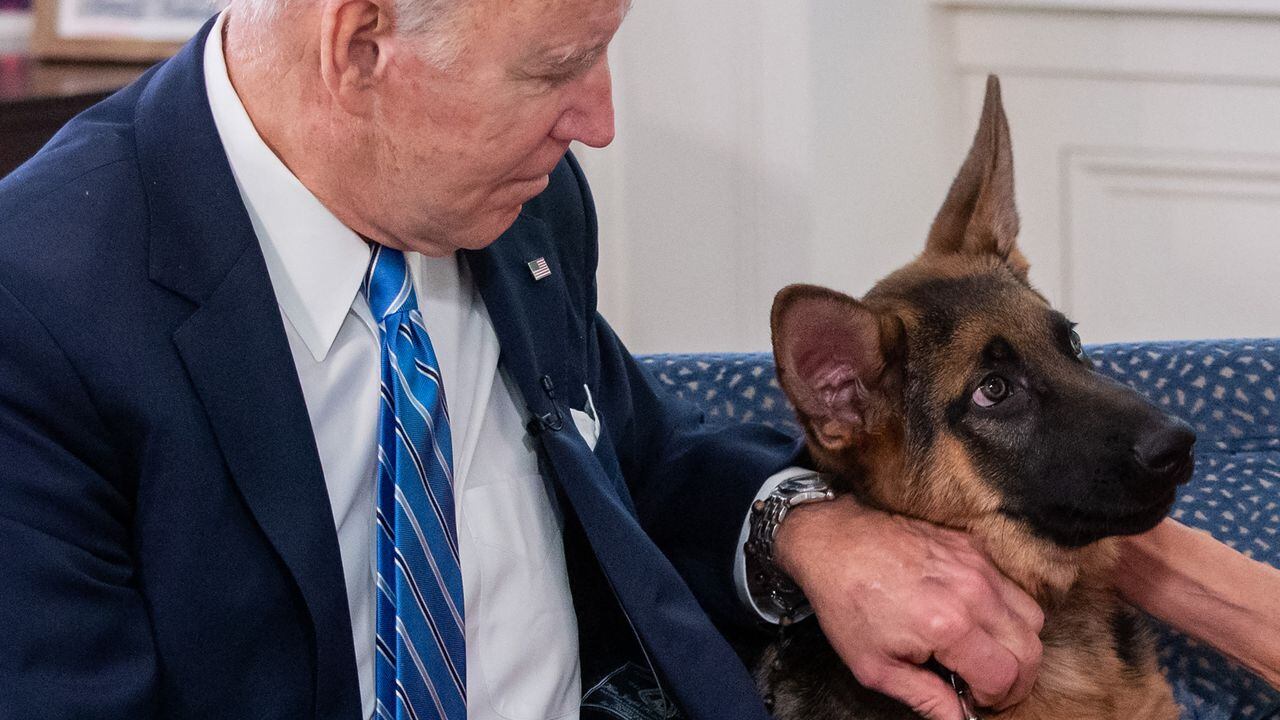 El presidente de EE. UU., Joe Biden, acaricia a su perro Commander.