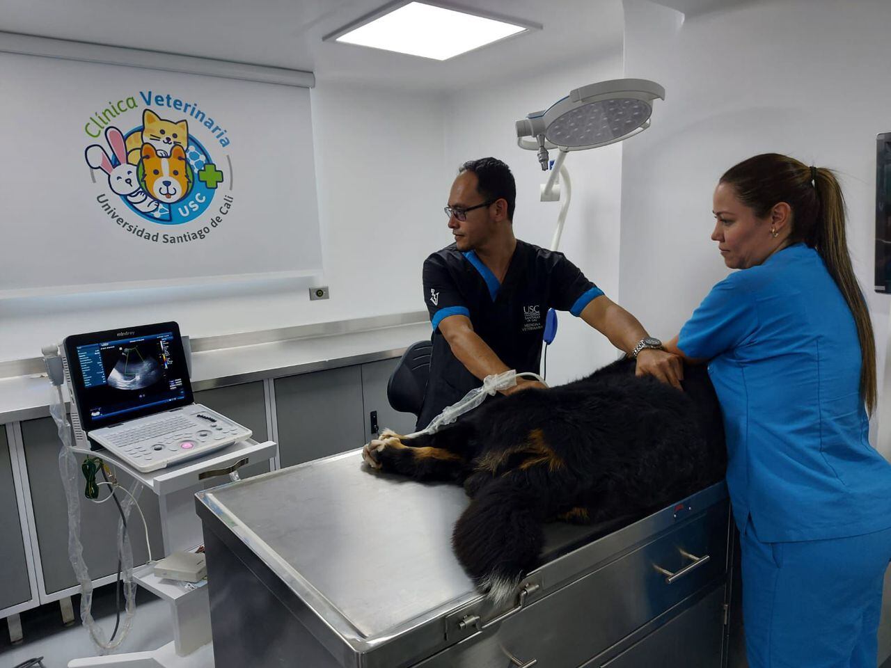 Clínica Veterinaria de la Universidad Santiago de Cali que le hace homenaje al canino Wilson./ Foto: USC