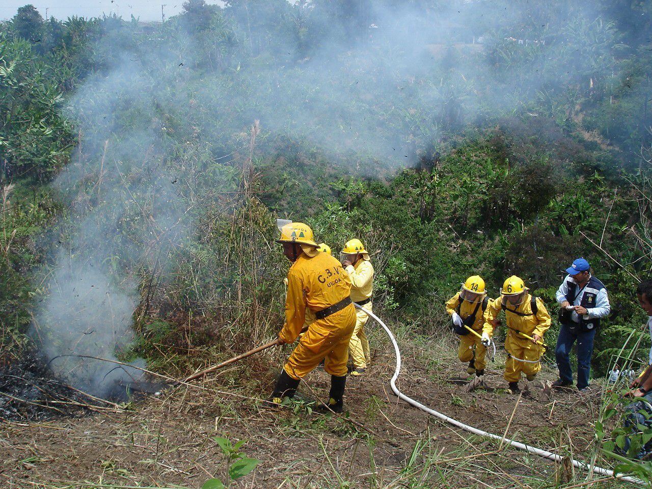 Varios municipios del Valle son vulnerables a incendios forestales, según la CVC.