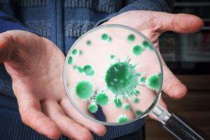 bacterias en las manos