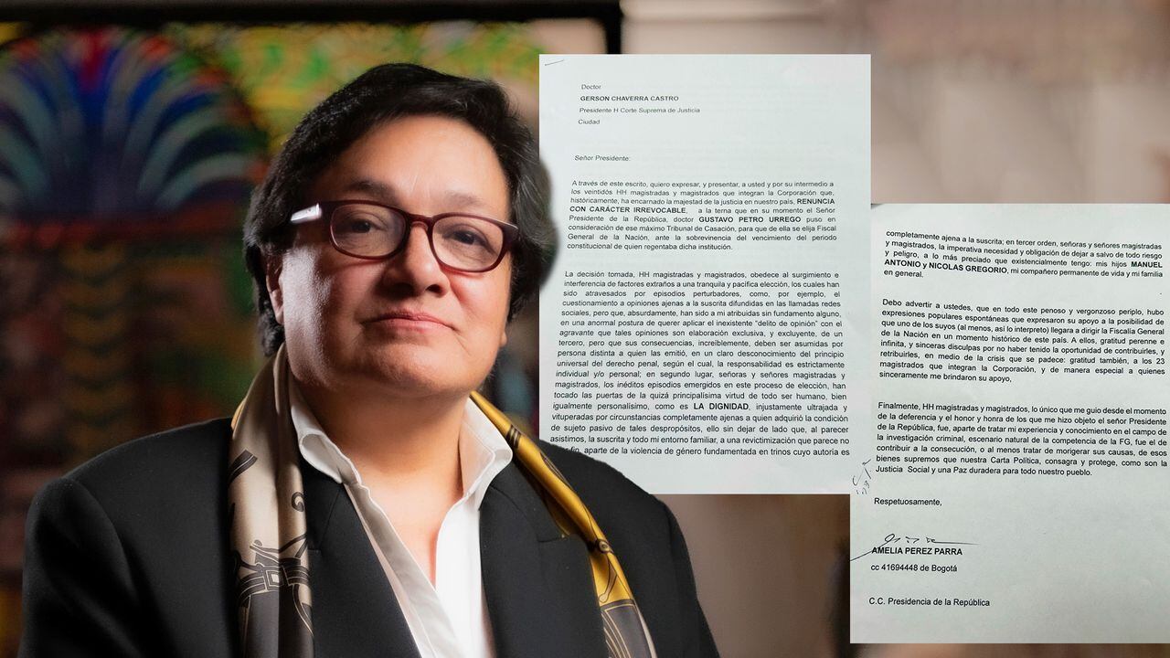 Amelia Pérez  Carta renuncia
