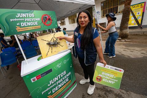 En muchos países se vienen realizando diferentes campañas para combatir el dengue.