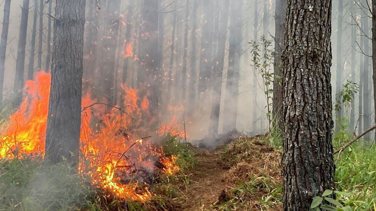 Incendio forestal en Cauca