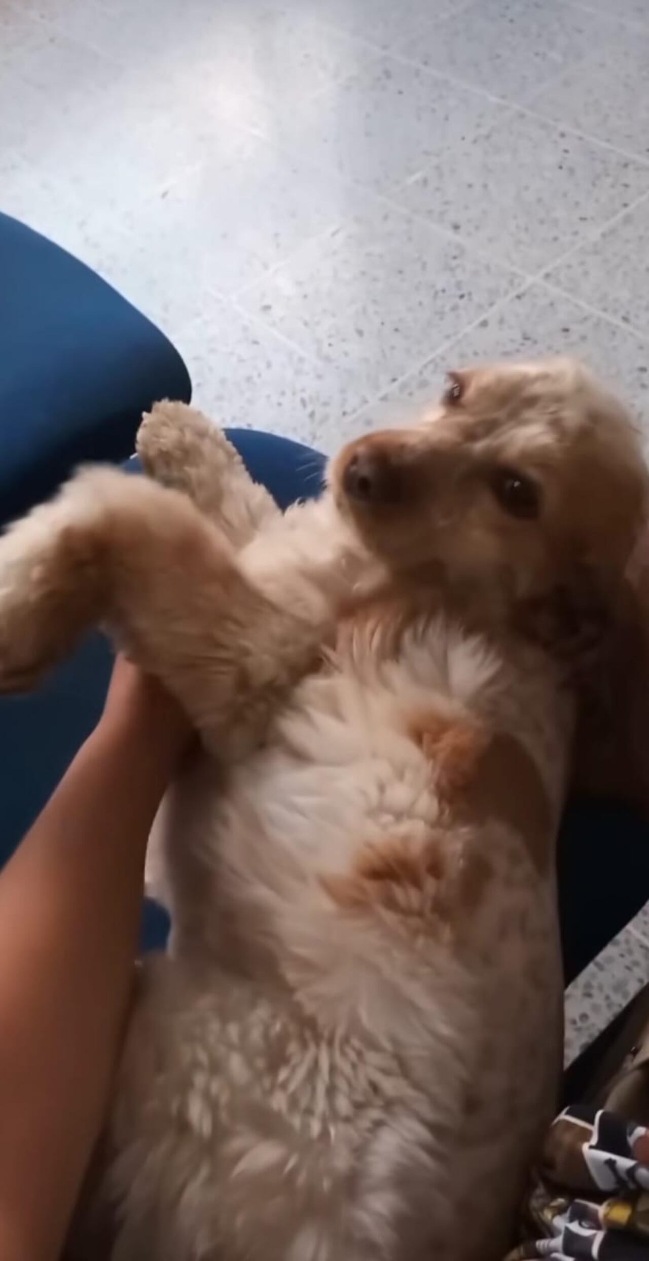 Mara recibe muchos cariños por parte de los bomberos de Bogotá.