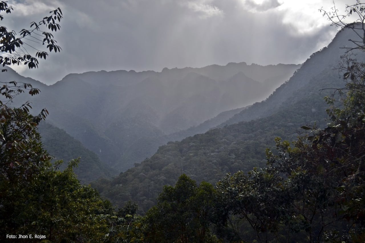 Parque nacional Tatamá
