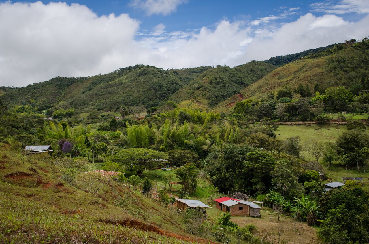 Paisajes del Valle de Cauca