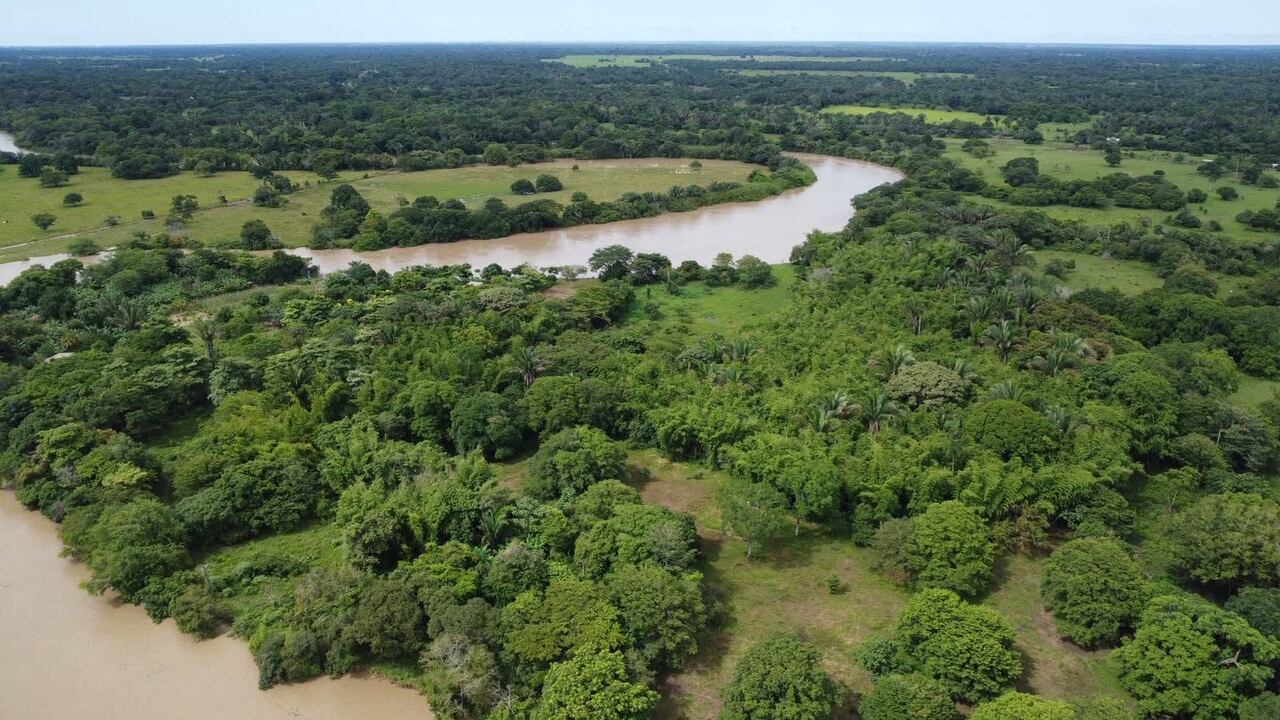 as autoridades del departamento informaron que cerca del 70 por ciento del casco urbano del municipio de San Luis de Palenque registra inundaciones debido al desbordamiento del río Pauto. La situación civil ha generado afectaciones en viviendas, áreas de cultivo, la movilidad interna y la prestación de servicios básicos en la localidad.