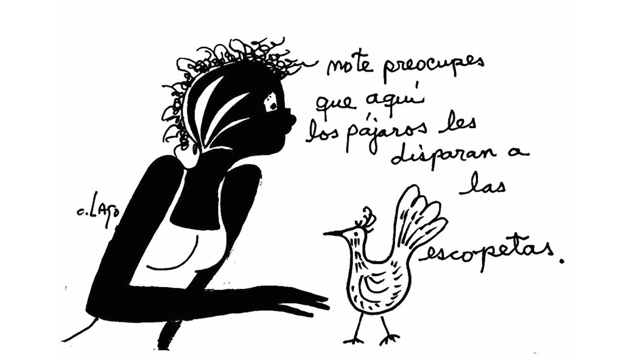 Caricatura de Nieves 24 de mayo de 2024