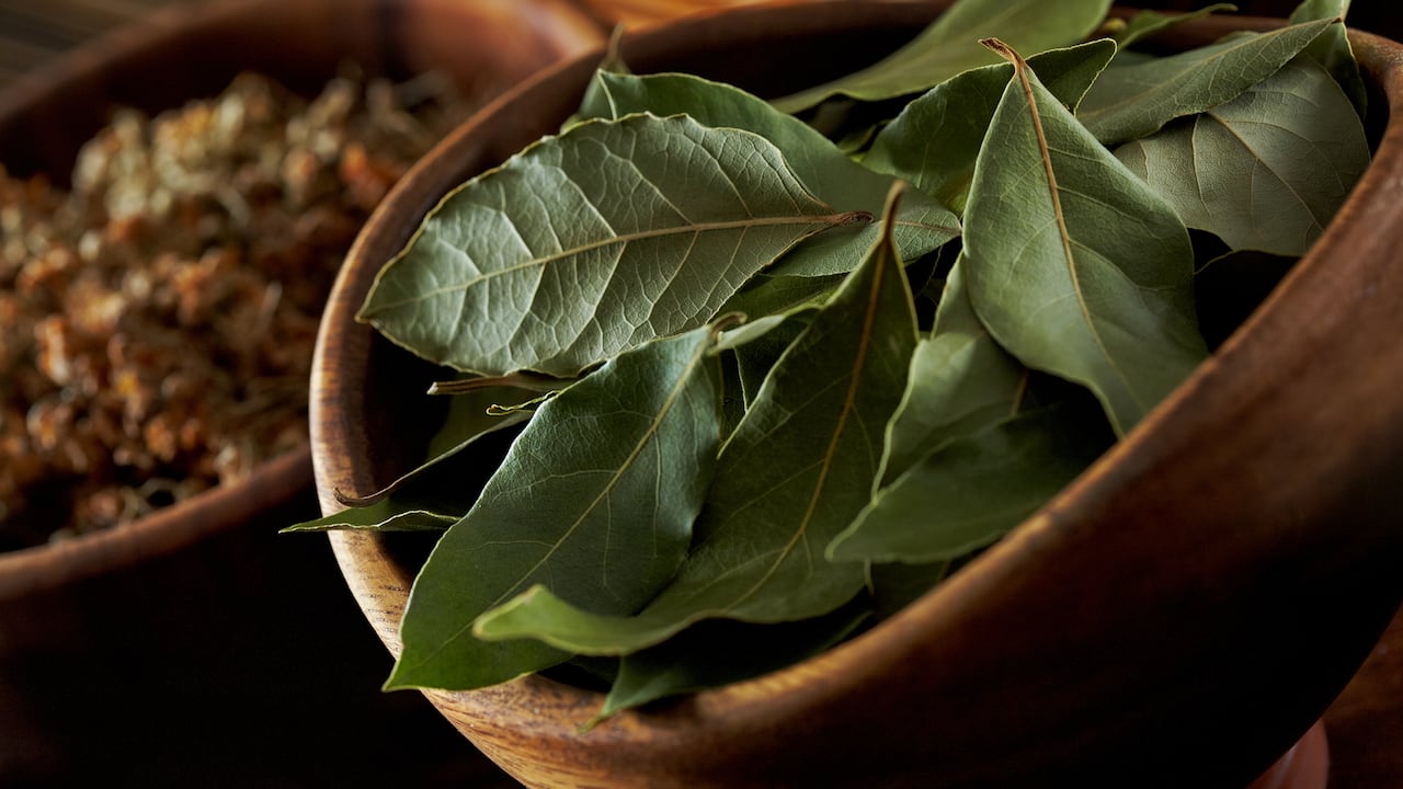 Triunfe en su día a día: inspiración y motivación con una hoja de laurel.