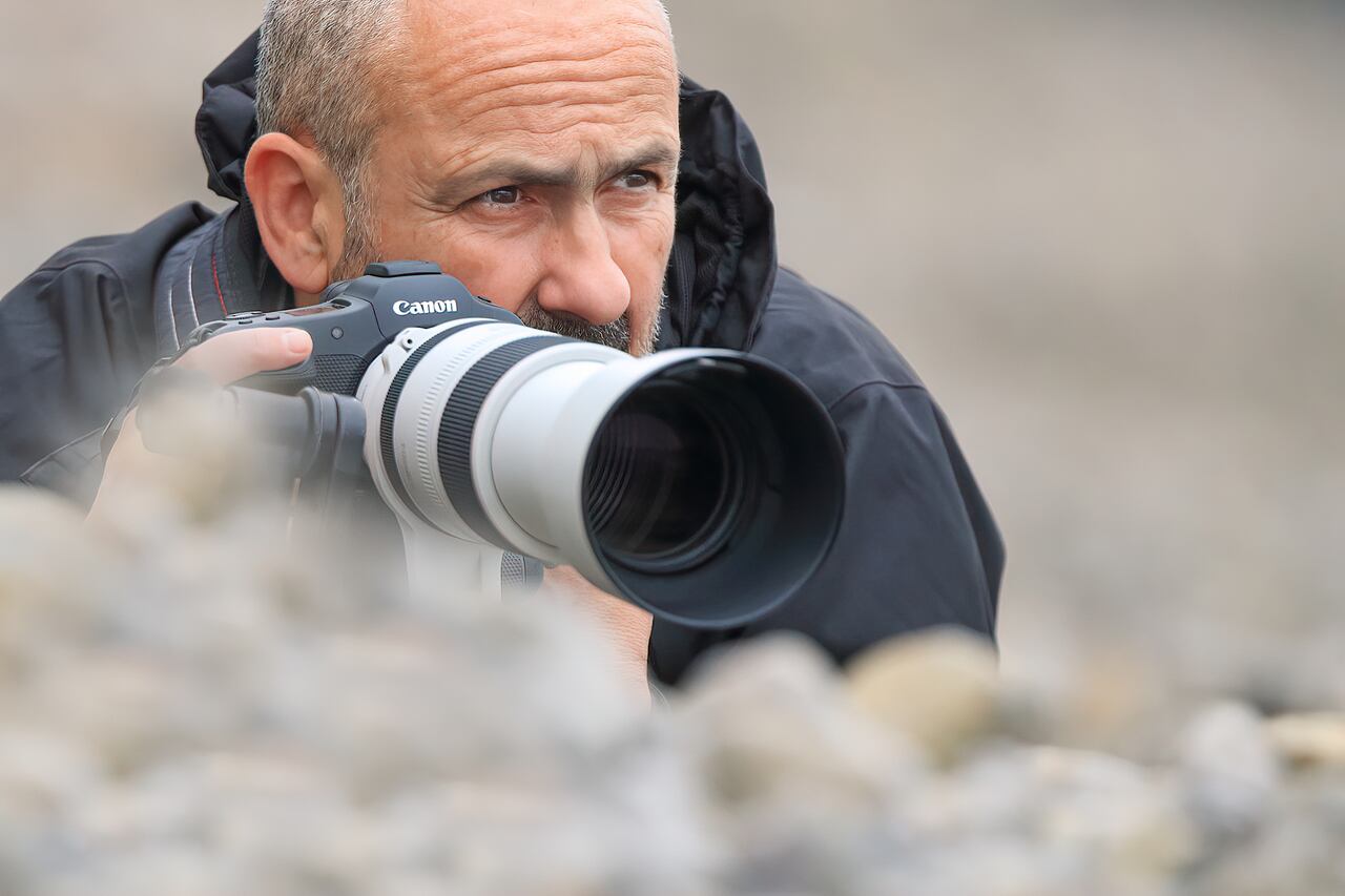 Mario vive cerca de la costa cantábrica, en España, un lugar estupendo para fotografiar las aves marinas y sus migraciones.