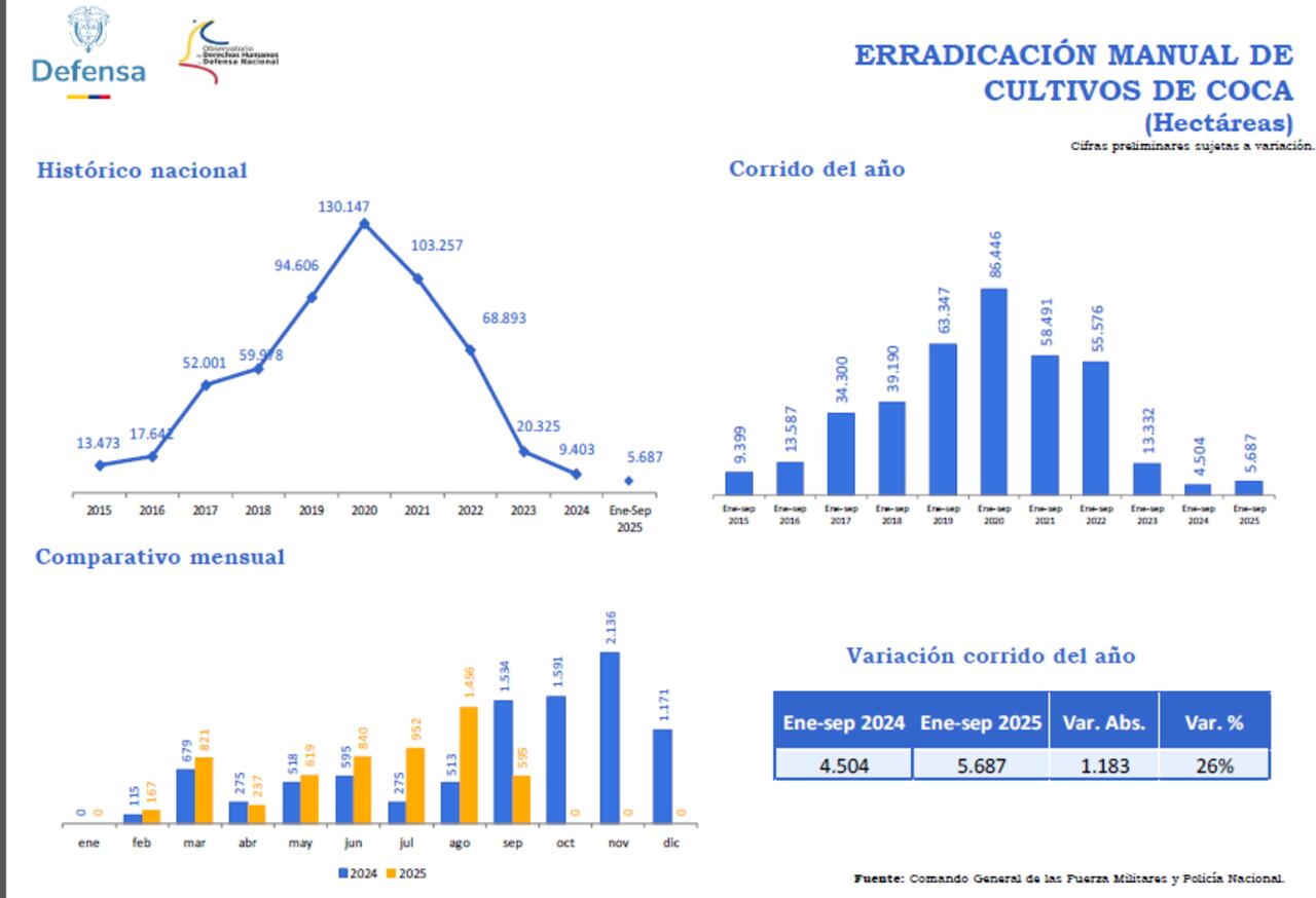2024 y 2025 han sido los años más bajos en erradicación de cultivos de hoja de coca. Los expertos aseguran que es vital cortar el suministro a los grupos ilegales.