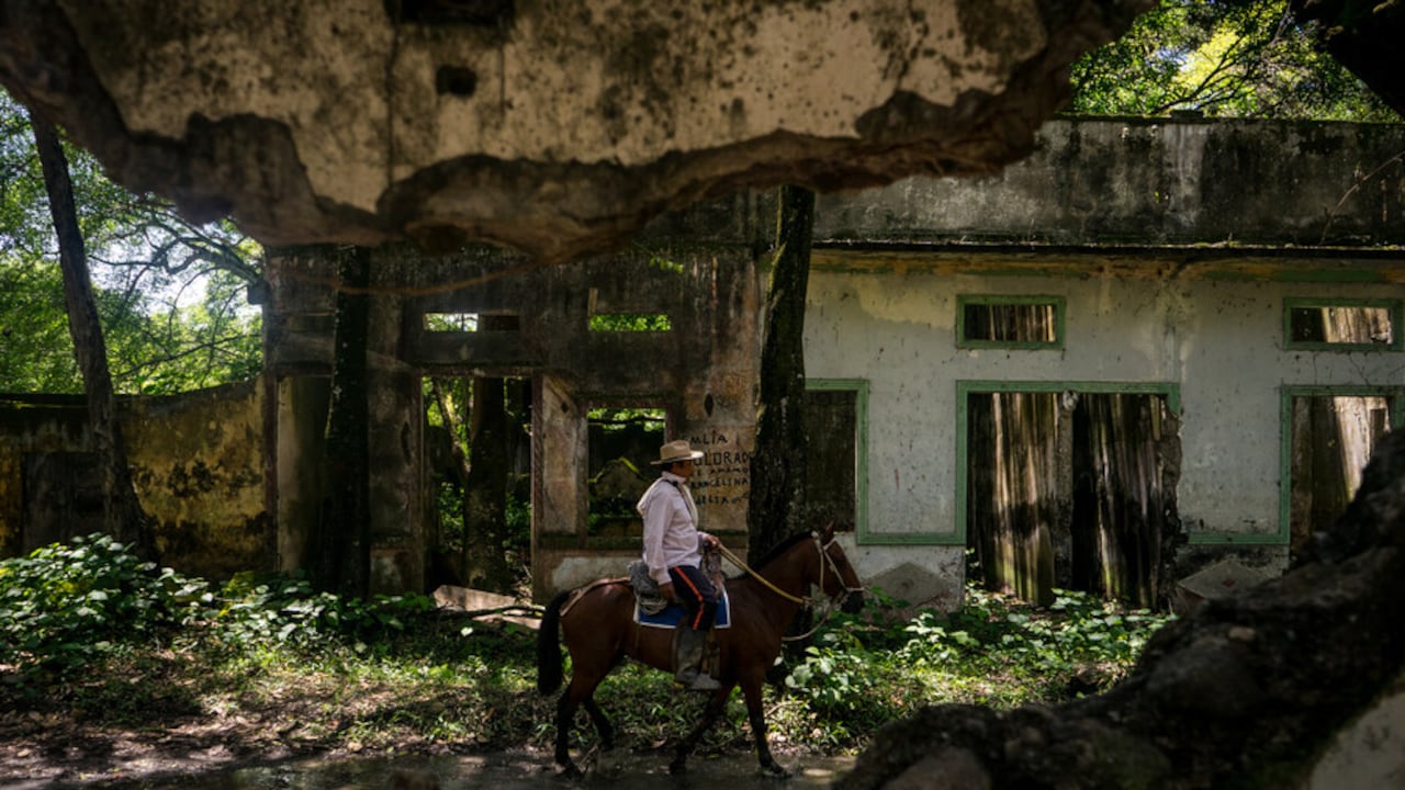 Especial de Colprensa sobre La memoria de 30.000 muertos vive en el silencio verde del antiguo Armero