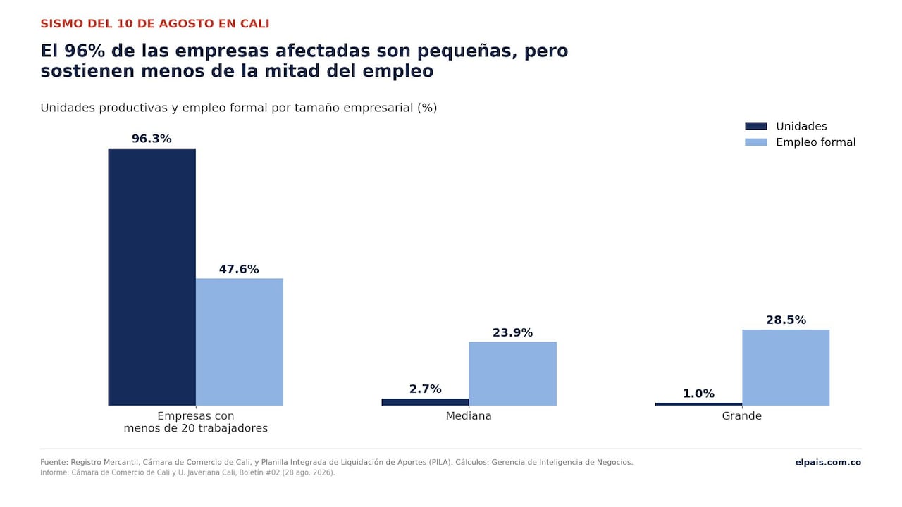 Los negocios jóvenes (3 años o menos) son el 30,3% de las unidades pero solo el 9,5% del empleo. Fuente: Cámara de Comercio de Cali y U. Javeriana Cali.