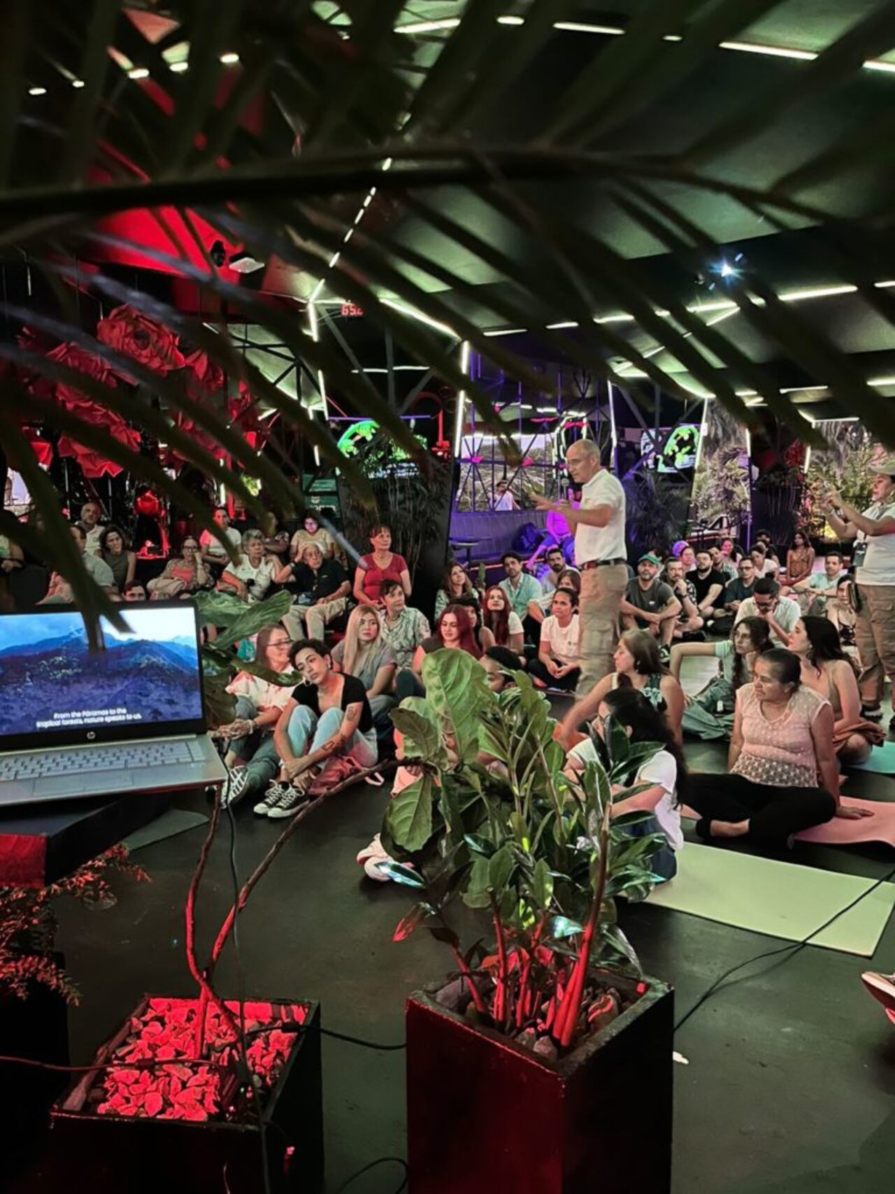 Durante la realización de la COP16 (Conferencia de las Partes del Convenio sobre la Diversidad Biológica) en Cali, la Fundación Impulso Verde dispuso de tres escenarios para una actividad que la organización denominó como el concierto de la música de las plantas.