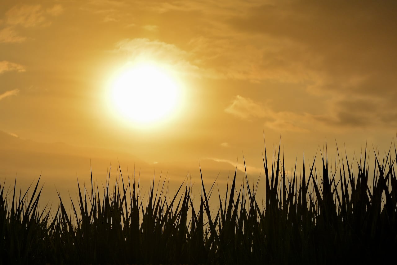 Temporada de calor en Cali. Tiempo seco con altas temperaturas.