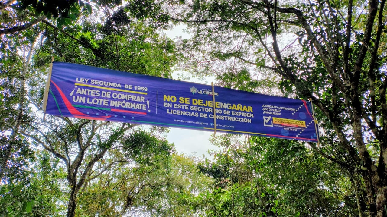 Habitantes de cuatro veredas denuncian deforestación y venta de lotes en área protegida de La Cumbre