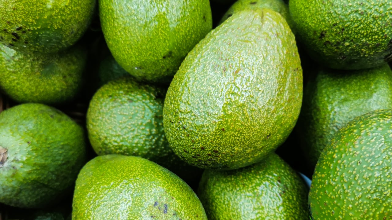 Aguacate