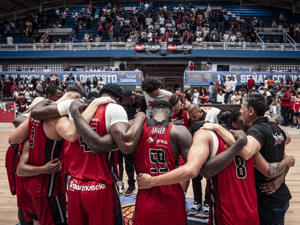 Toros del Valle