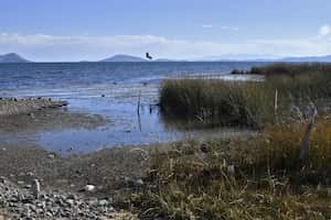 Imagen del lago Titicaca, compartido por Bolivia y Perú, con su nivel de agua en mínimos históricos debido al cambio climático y una severa sequía, tomada en la comunidad de Huatajata en el altiplano boliviano el 9 de agosto de 2023. (Foto de Aizar RALDES / AFP)