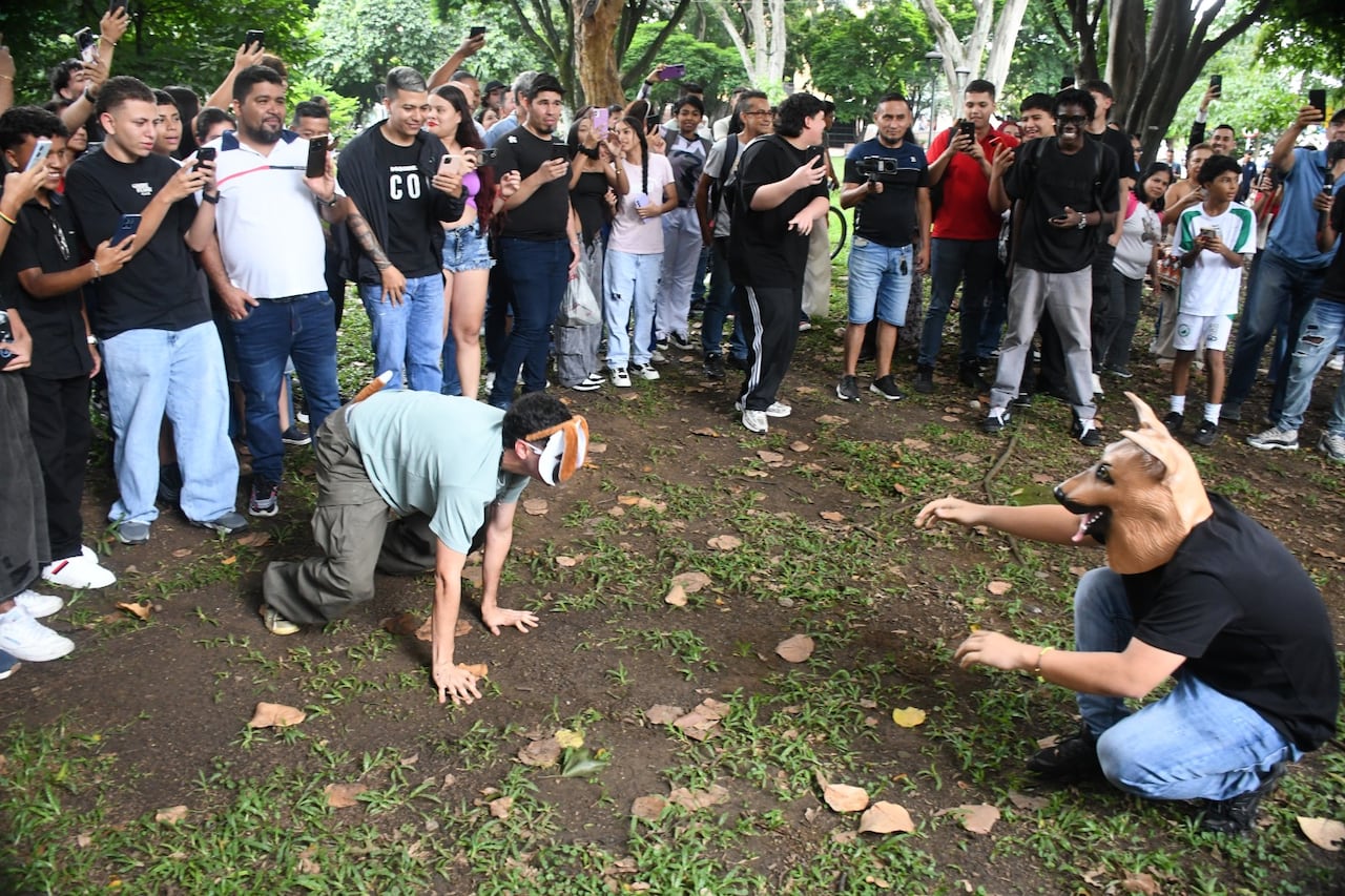 Los therians suelen reunirse con su manada durante un tiempo no tan prolongado. El resto del día tienen una vida normal, estudian, van al trabajo, comparten con su familia.