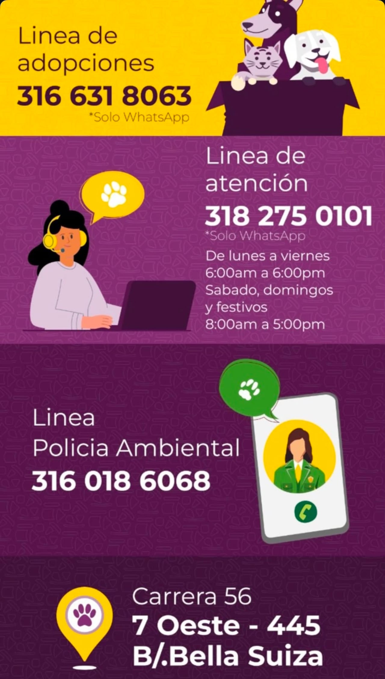 Animales perdidos