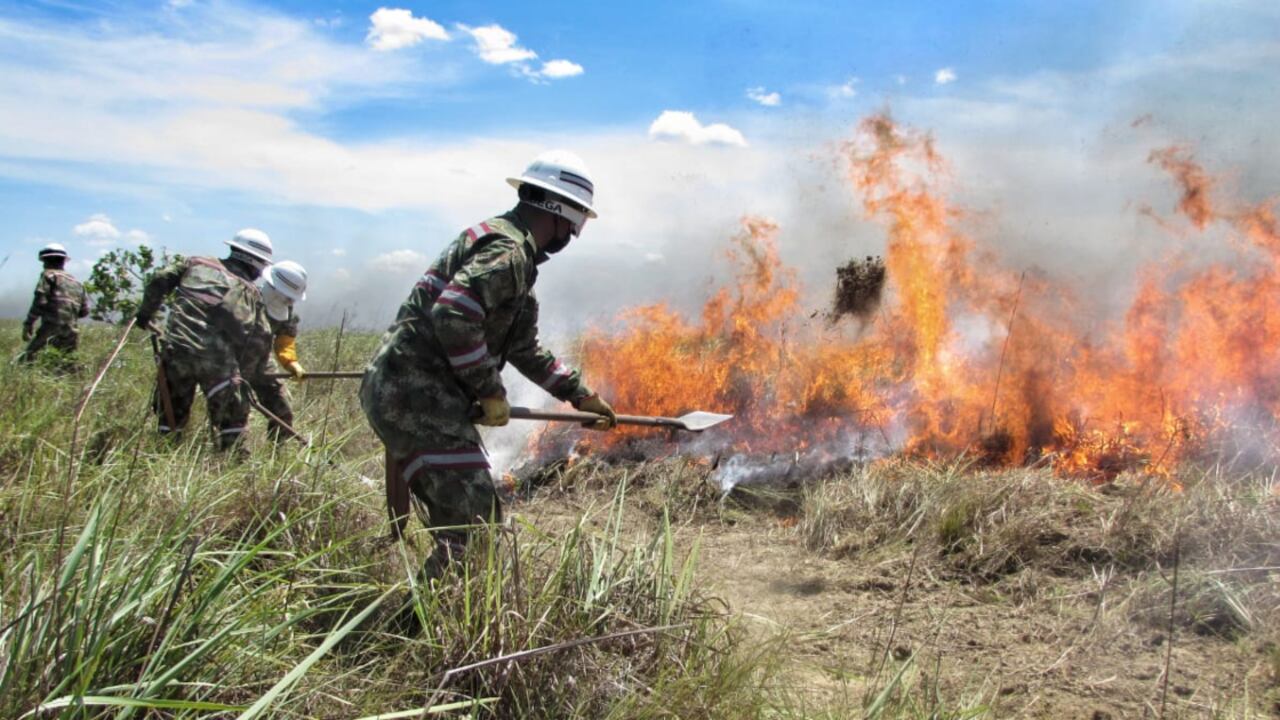 Incendio forestal presentado en el Parque Nacional Natural El Tuparro. Foto: Ejército Nacional.
