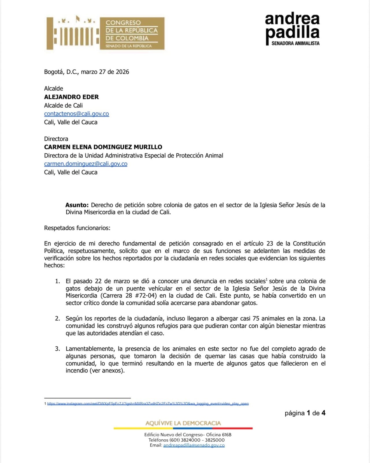 Más de 45 gatos habrían muerto en presuntos incendios provocados bajo un puente en el sector de la Iglesia Señor Jesús de la Divina Misericordia, Carrera 28 #72-04, Cali.