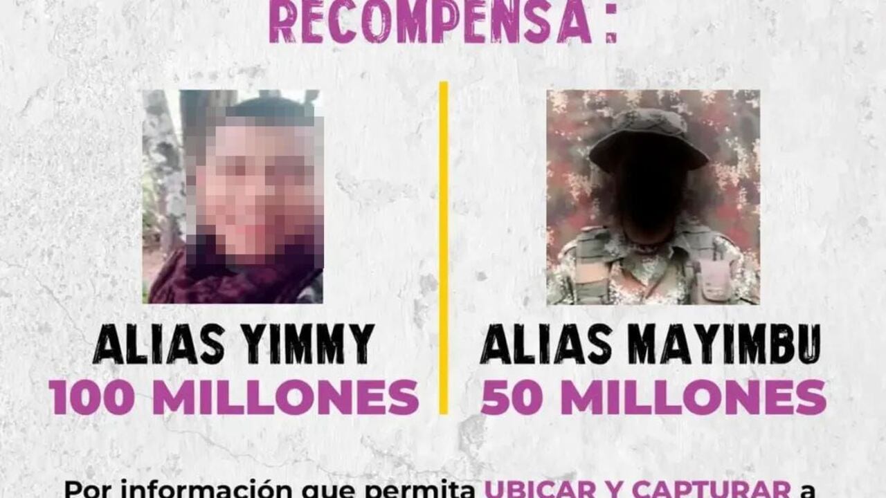 Alias Yimmy y alias Mayimbú son dos líderes de las Farc que buscan controlar el departamento del Guaviare.