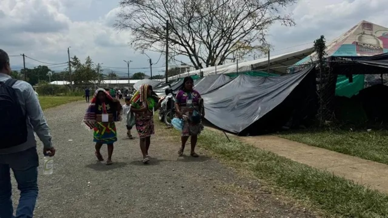 Más de 1.400 delegados indígenas participan en el IV Congreso Nacional del Pueblo Emberá en la Universidad del Valle, en Cali.