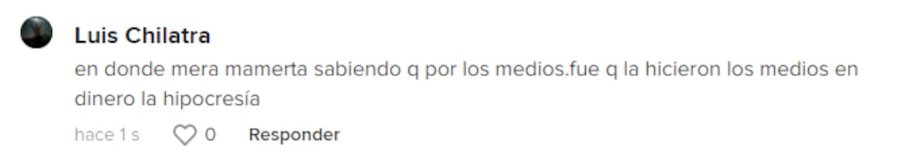 comentarios Margarita Rosa el país